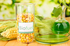 Lower Bobbingworth Green biofuel availability